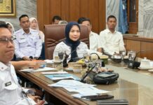 Bupati Serang Ratu Zakiyah Apresiasi Program Bang Andra, Perkuat Konektivitas Perdesaan dan Ekonomi Desa